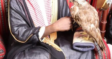 TCHAD  : La diffamation sur les réseaux sociaux doit être pénalement punie.