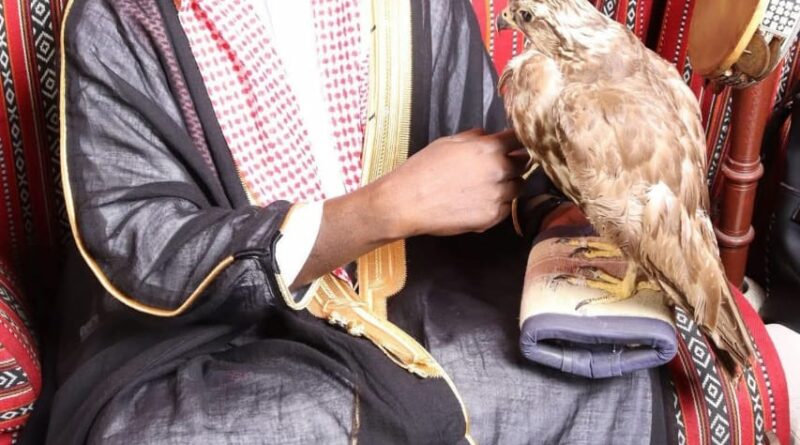 TCHAD  : La diffamation sur les réseaux sociaux doit être pénalement punie.
